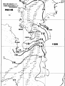 東京湾口海況図(2026/01/30)