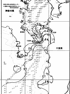 東京湾口海況図(2026/02/03)