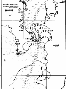 東京湾口海況図(2026/02/04)
