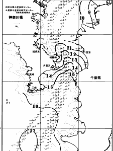 東京湾口海況図(2026/02/11)