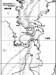 東京湾口海況図(2026/02/15)