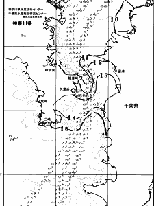 東京湾口海況図(2026/02/16)