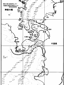 東京湾口海況図(2026/02/17)