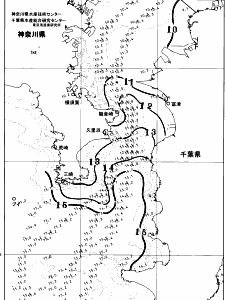 東京湾口海況図(2026/02/20)