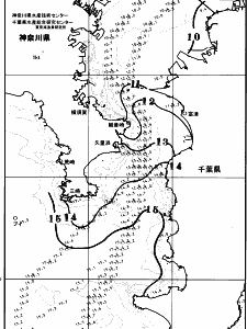 東京湾口海況図(2026/02/21)