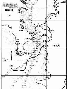 東京湾口海況図(2026/02/23)