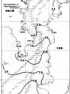 東京湾口海況図(2026/02/27)