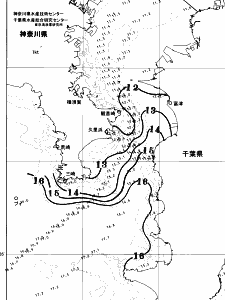 東京湾口海況図(2026/02/28)