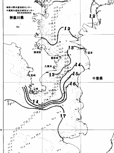 東京湾口海況図(2026/03/02)