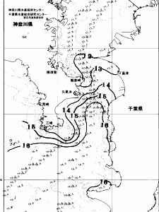 東京湾口海況図(2026/03/07)