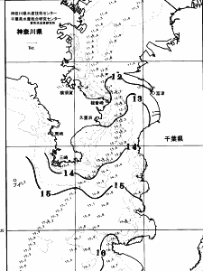 東京湾口海況図(2026/03/12)
