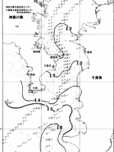 東京湾口海況図(2026/03/13)