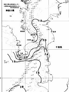 東京湾口海況図(2026/03/15)