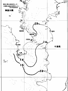 東京湾口海況図(2026/03/20)