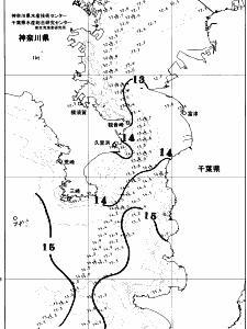 東京湾口海況図(2026/03/23)