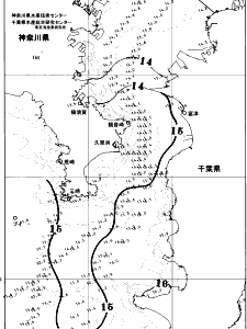 東京湾口海況図(2026/03/31)