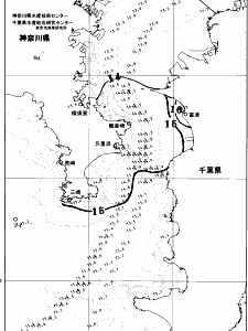 東京湾口海況図(2026/04/01)