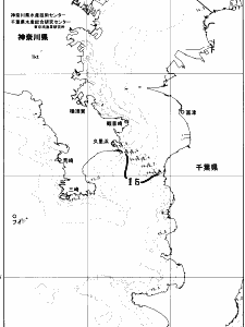 東京湾口海況図(2026/04/05)