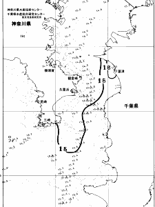 東京湾口海況図(2026/04/07)