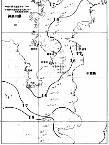 東京湾口海況図(2026/04/16)
