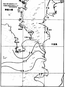 東京湾口海況図(2026/04/17)