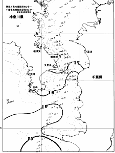 東京湾口海況図(2026/04/26)