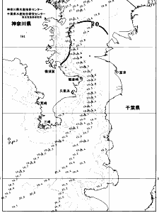 東京湾口海況図(2026/05/17)
