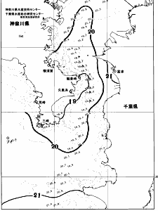 東京湾口海況図(2026/05/19)