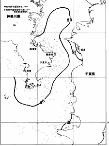 東京湾口海況図(2026/05/20)