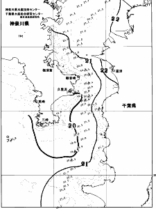 東京湾口海況図(2026/05/29)