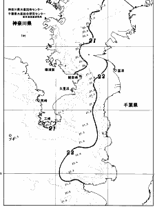 東京湾口海況図(2026/06/03)