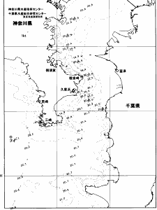 東京湾口海況図(2026/06/05)