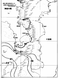 東京湾口海況図(2026/06/07)