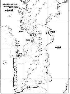 東京湾口海況図(2026/06/17)