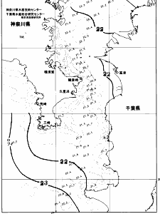 東京湾口海況図(2026/06/19)