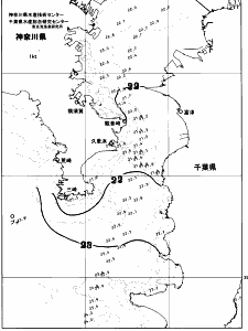 東京湾口海況図(2026/06/20)