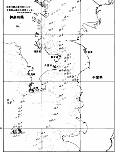 東京湾口海況図(2026/06/24)