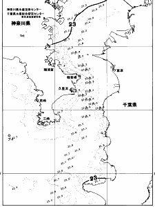 東京湾口海況図(2026/06/25)