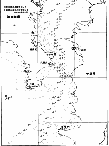東京湾口海況図(2026/06/26)