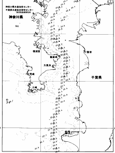 東京湾口海況図(2026/06/27)