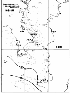 東京湾口海況図(2026/06/28)