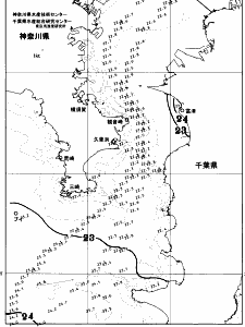 東京湾口海況図(2026/06/30)