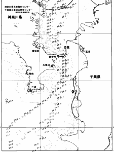 東京湾口海況図(2026/07/27)