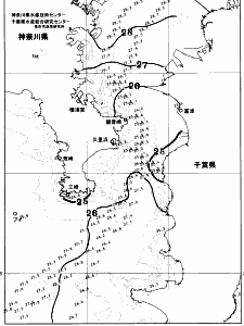 東京湾口海況図(2026/08/03)