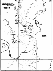 東京湾口海況図(2026/08/05)