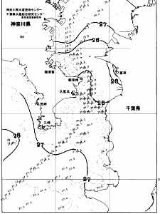 東京湾口海況図(2026/08/07)