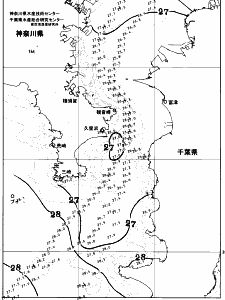 東京湾口海況図(2026/08/08)