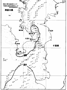 東京湾口海況図(2026/08/11)