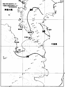 東京湾口海況図(2026/08/12)