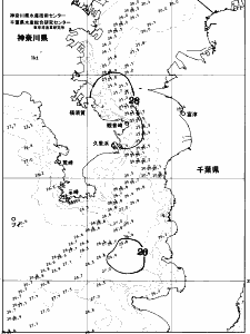 東京湾口海況図(2026/08/13)